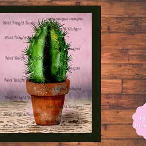 Cactus Plants- A Complete Selection of Stunning Digital Art Prints Cacti Themed