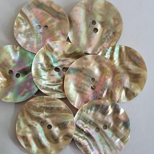 Large Shell Button