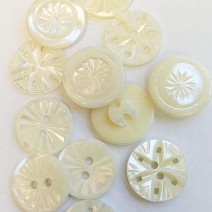 Carved Mother of Pearl