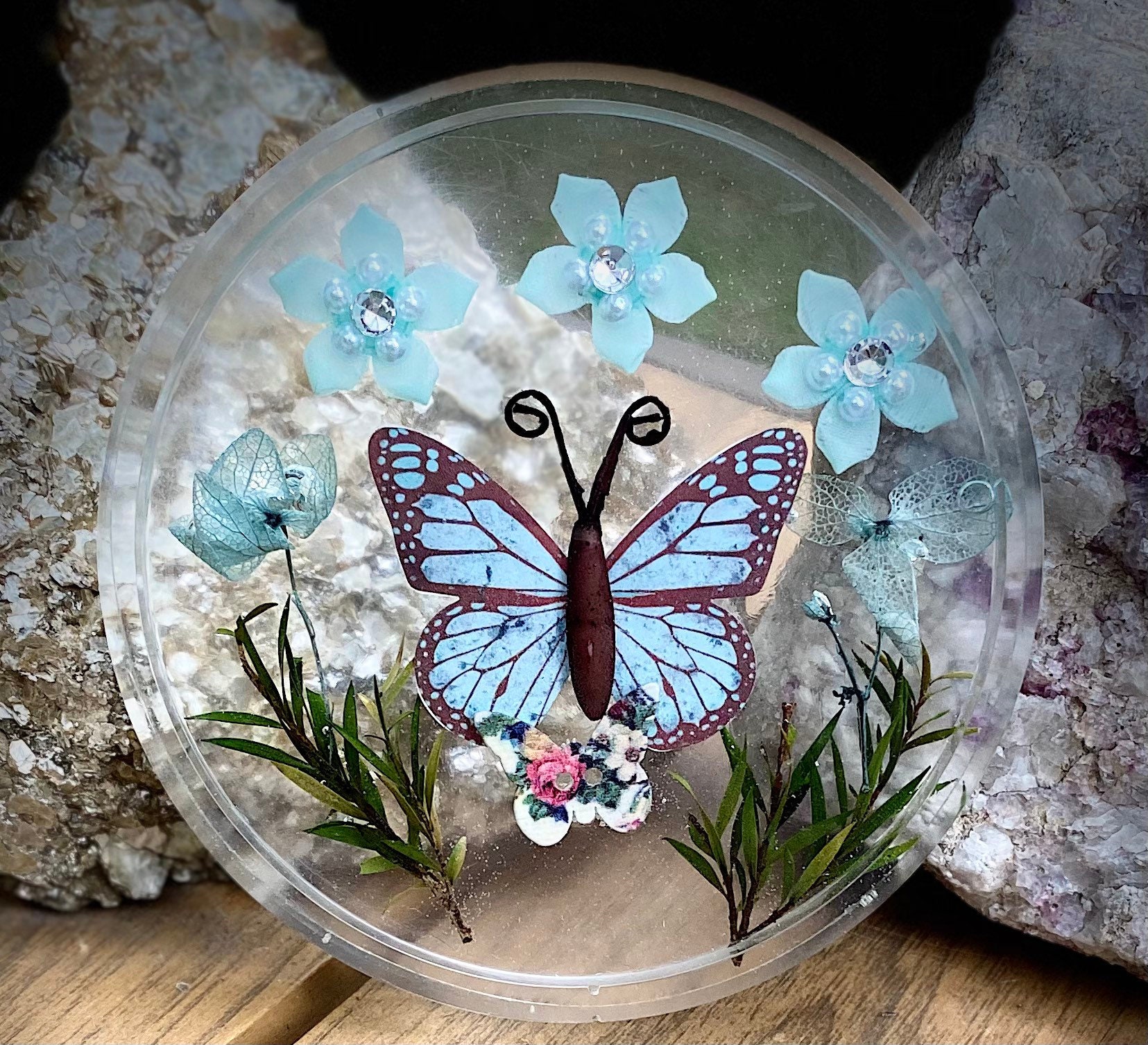 Butterfly Coaster Etsy