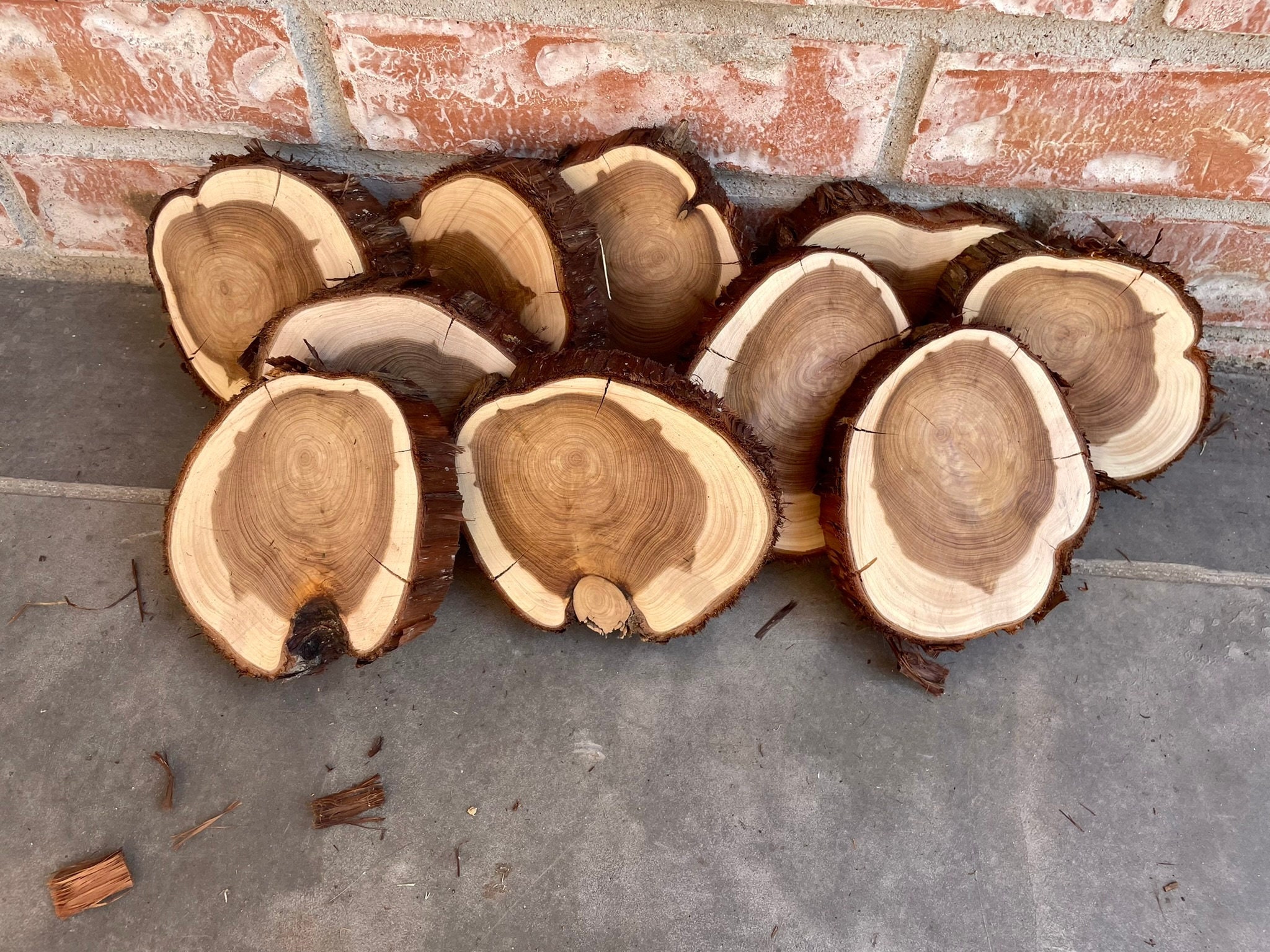 Cedar wood rounds — Jasper Mercantile