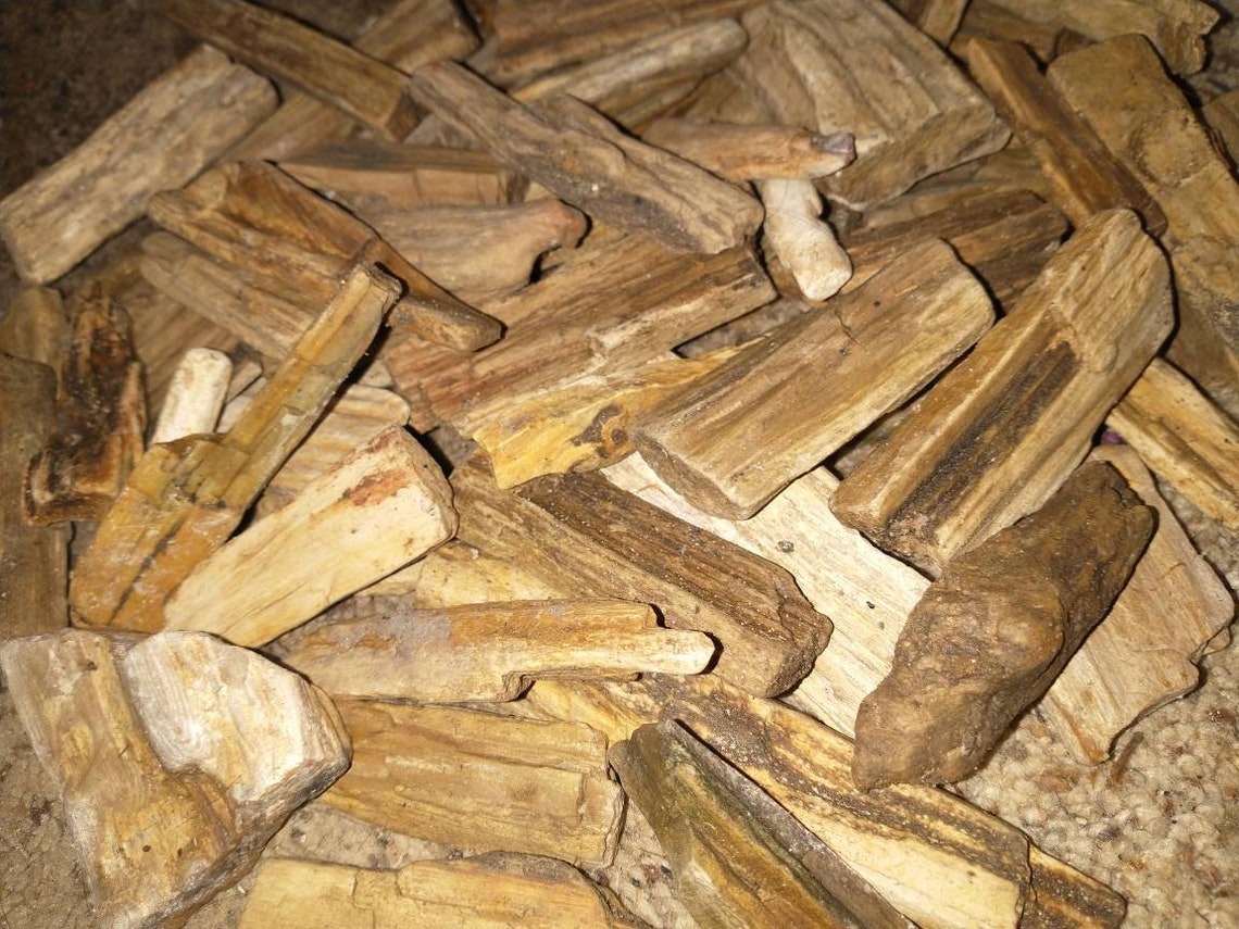 Raw Texas Petrified wood lot Etsy