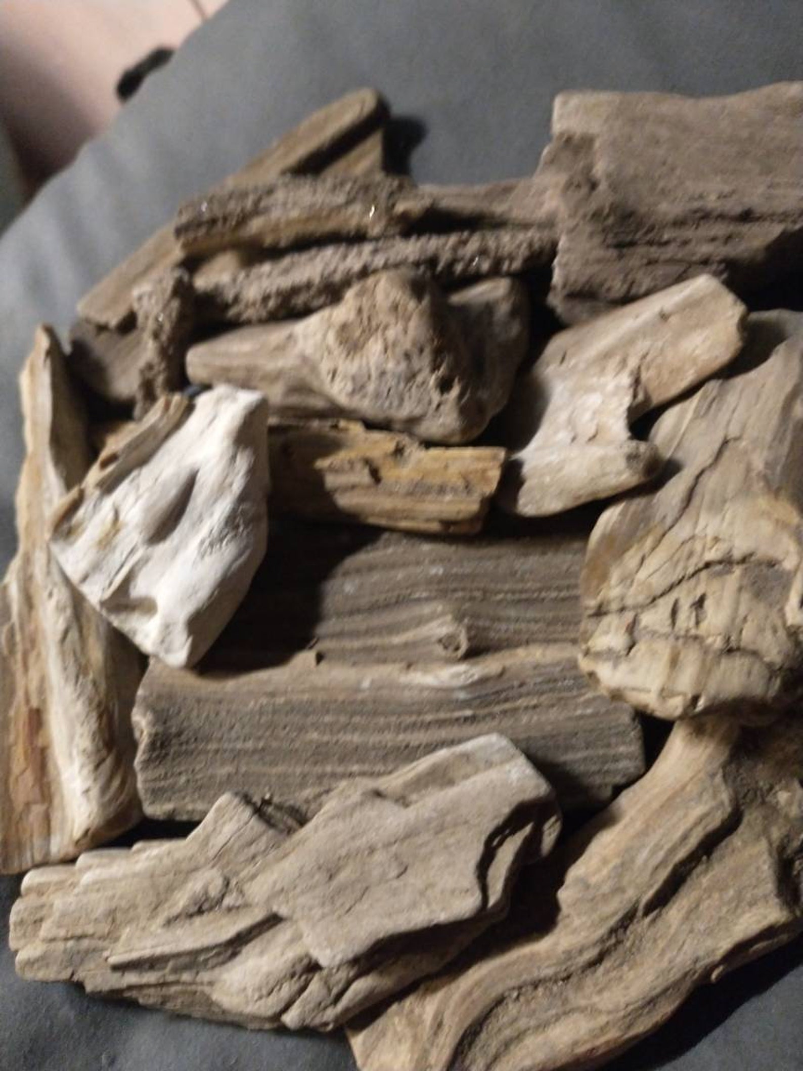 Raw Texas Petrified wood lot Etsy