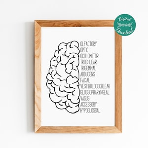 Cranial Nerves Poster, Brain Art, Digital Download, Neurology Print, Speech Therapy Poster