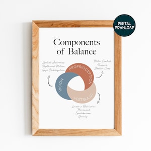 Components of Balance, Physical Therapy Poster, Vestibular Therapist Educational Print, Digital Download, Art for Physiotherapist