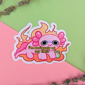 May include: A pink axolotl with googly eyes and a small green frog on its back is on fire. The axolotl is wearing a pair of glasses and the text "I'm seriously at my limit" is written below it.