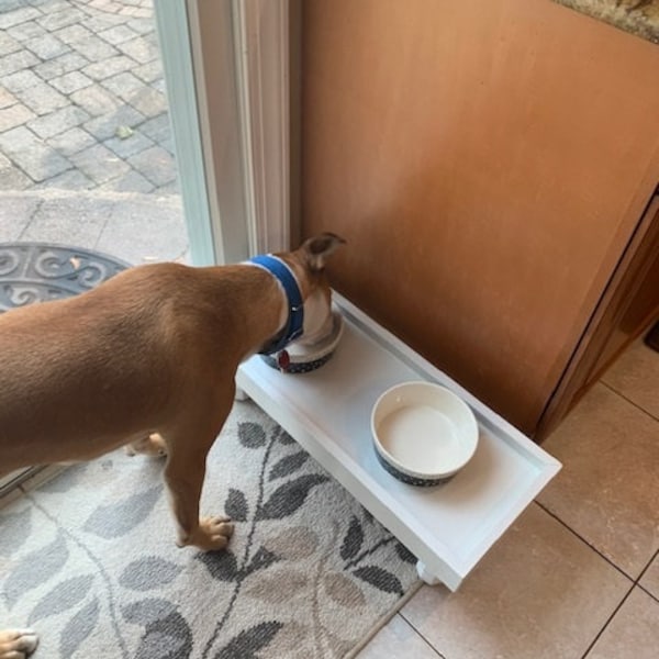 Pet Feeding Station Etsy