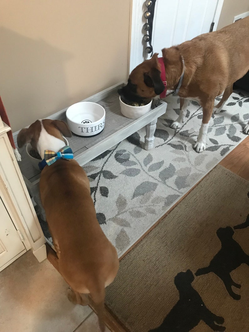 Large Standard or Double Custom Made Pet Feeding Tables Etsy