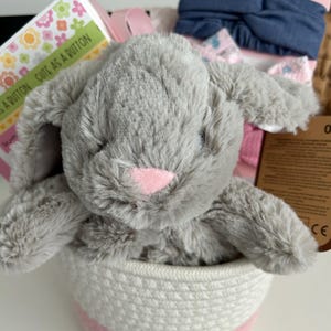 Baby Mädchen Geschenkkorb, Neugeborenen Geschenkkorb, personalisierter Babykorb, Baby Deckenkorb, gefülltes Geschenk, Sip and Teilen, neues Baby, Babygeschenk,