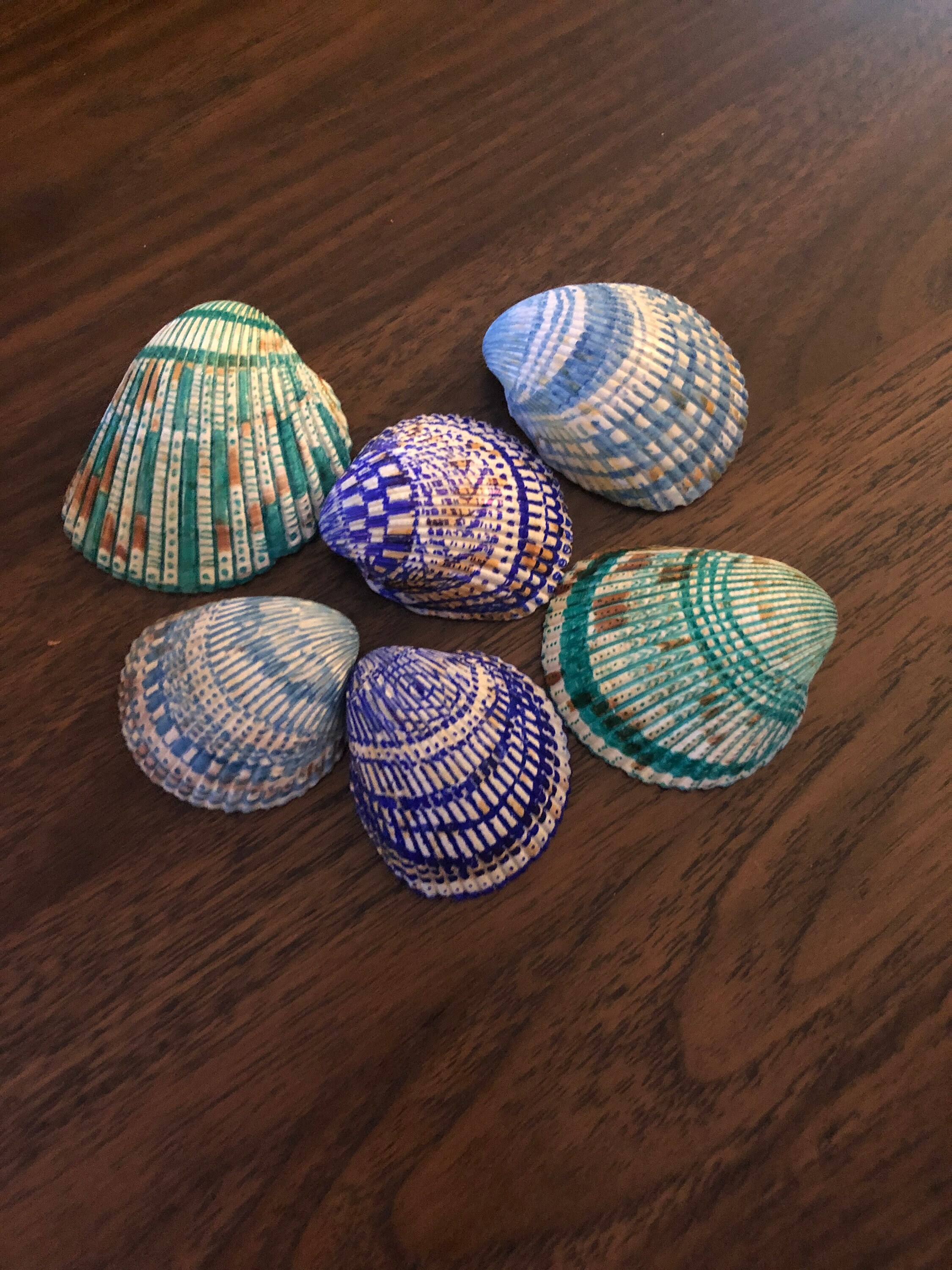 Hand painted seashells Etsy