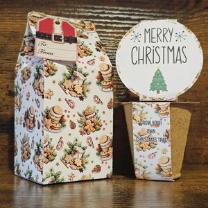 Grow Your Own Christmas Tree Kit With Matching Milk Cartoon Gift Box - Christmas Gift - Stocking Filler - Christmas Eve Box Filler - Tree