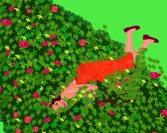 The Real Housewives Lu Ann