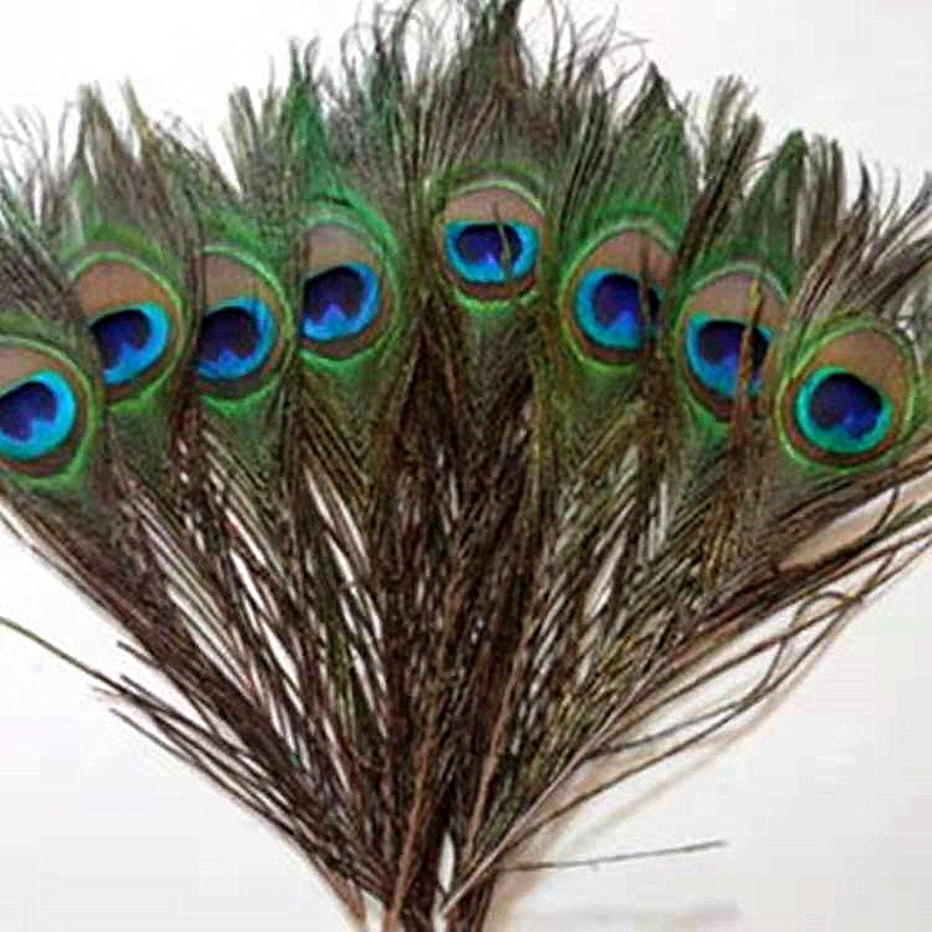 50 plumas de pavo real, plumas verdes de ojo de pavo real para  manualidades, manualidades, arte, plumas de cola de pavo real para  carnaval
