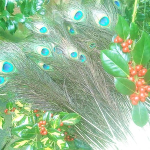 50cm to 60cm Natural real peacock long feathers.peacock tail colourful feathers for house decorations wedding party centerpiece decorations 30 pieces