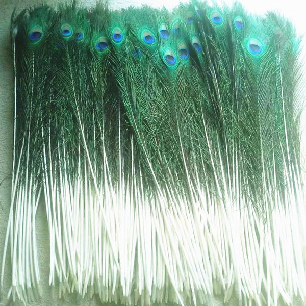 50cm to 60cm  Natural real peacock long feathers.peacock tail colourful feathers for house decorations wedding party centerpiece decorations