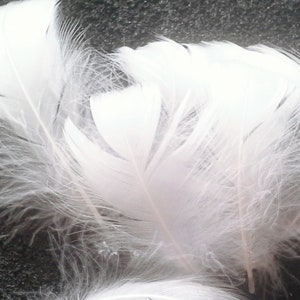 Naturally shed Goose feathers, white feathers,3cm to 5cm,5cm to 9cm and 9cm to15cm long.