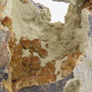 May include: Close-up of a geological specimen with a cavity. The rock has a rough, textured surface with shades of brown, gray, and beige. Inside the cavity, there are clusters of small, orange-brown crystal formations.