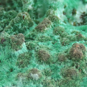 May include: Close-up of a textured, green mineral formation with a mossy appearance. The surface is covered in small, dark brown clusters, creating a contrasting pattern against the vibrant green background. The overall texture is rough and uneven.