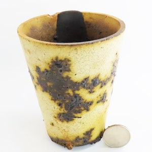 May include: A small, yellow ceramic planter with a dark brown glaze. The planter has a textured surface and a slightly flared rim. A US quarter is shown for scale.