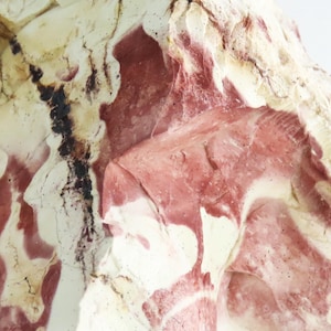 May include: Close-up of a natural stone with a unique pattern. The stone features a mix of colors, including cream, red, and black, creating a marbled effect. The texture appears rough and uneven, highlighting its natural origin.