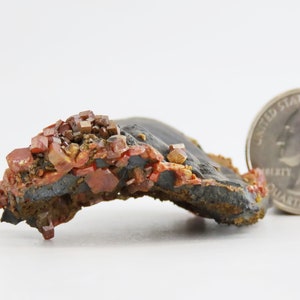 Vanadinite Crystals on Goethite