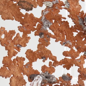 May include: A close-up of a copper mineral specimen with a delicate, fern-like structure. The copper has a reddish-brown color and is arranged in a complex pattern.