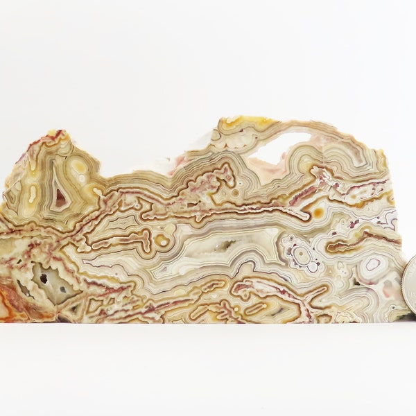 Excellent Fortification Mexican Crazy Lace Agate