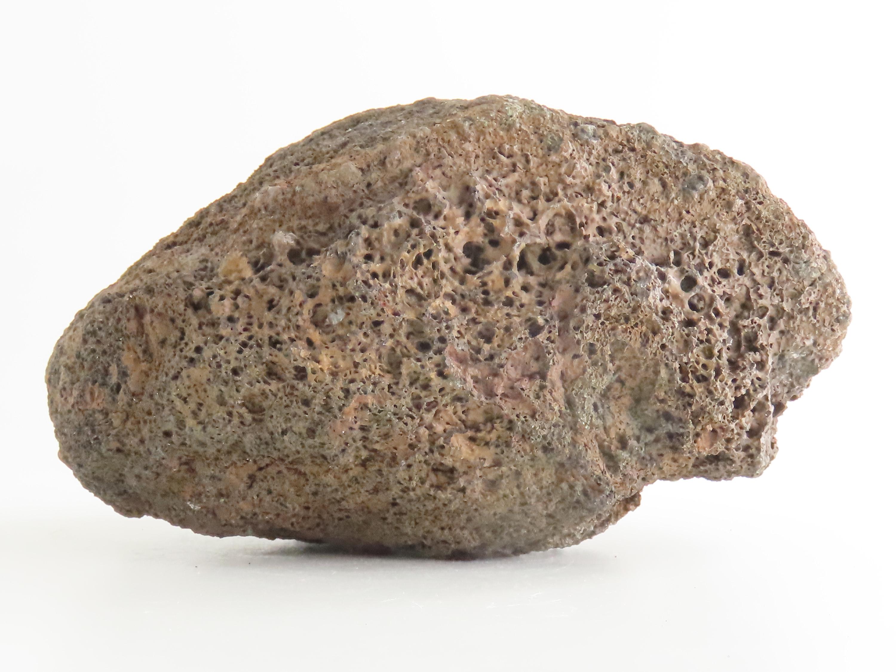 Small Volcanic Bomb Pyroclastic Basalt Specimen - Etsy