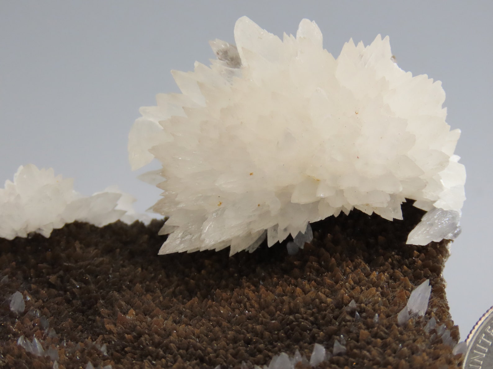 Colorless Calcite Crystals With Root Beer Calcite Crystals - Etsy