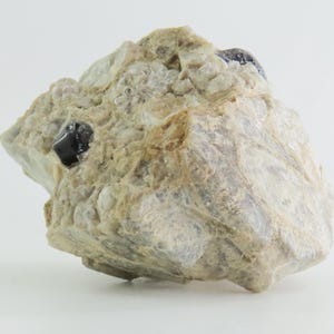 May include: A rough, light brown rock with several black crystals embedded in it. The rock has a layered, striated texture.