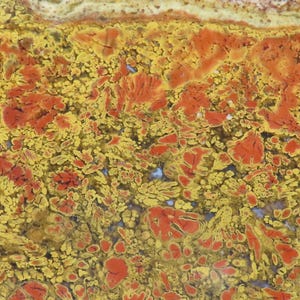 May include: Close-up of a natural stone with a vibrant pattern. The surface displays a mix of yellow, orange, and red hues, with intricate, organic shapes. The stone's texture appears rough and detailed, showcasing its unique geological composition.