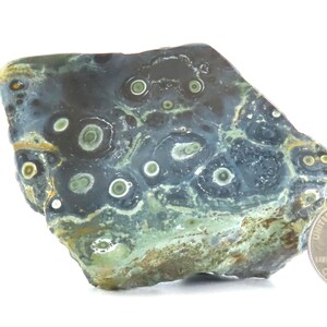 Polished Rhyolite Specimen of Green Kambaba Jasper