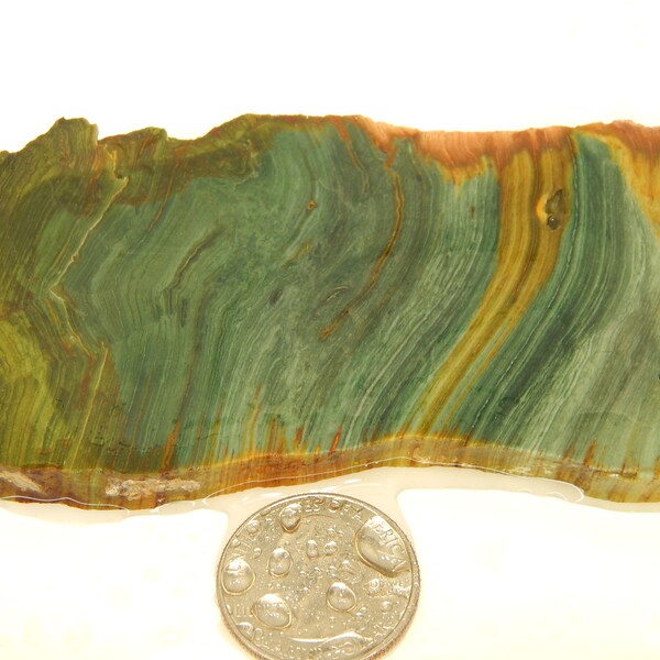 Larsonite / Gary Green Jasper