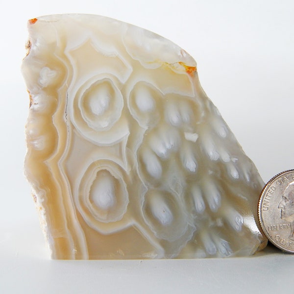 A nice Ochoco Mountains Tube Agate