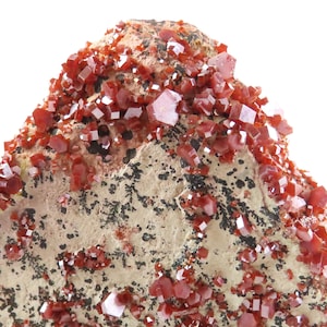 May include: Close-up of a mineral specimen featuring vibrant red crystals clustered on a beige matrix. The crystals have a distinct, geometric shape, contrasting with the textured base. Black markings are visible on the matrix.