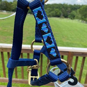 Handbeaded large mini horse halter, one of a kind, miniature horse tack, show tack, fancy tack