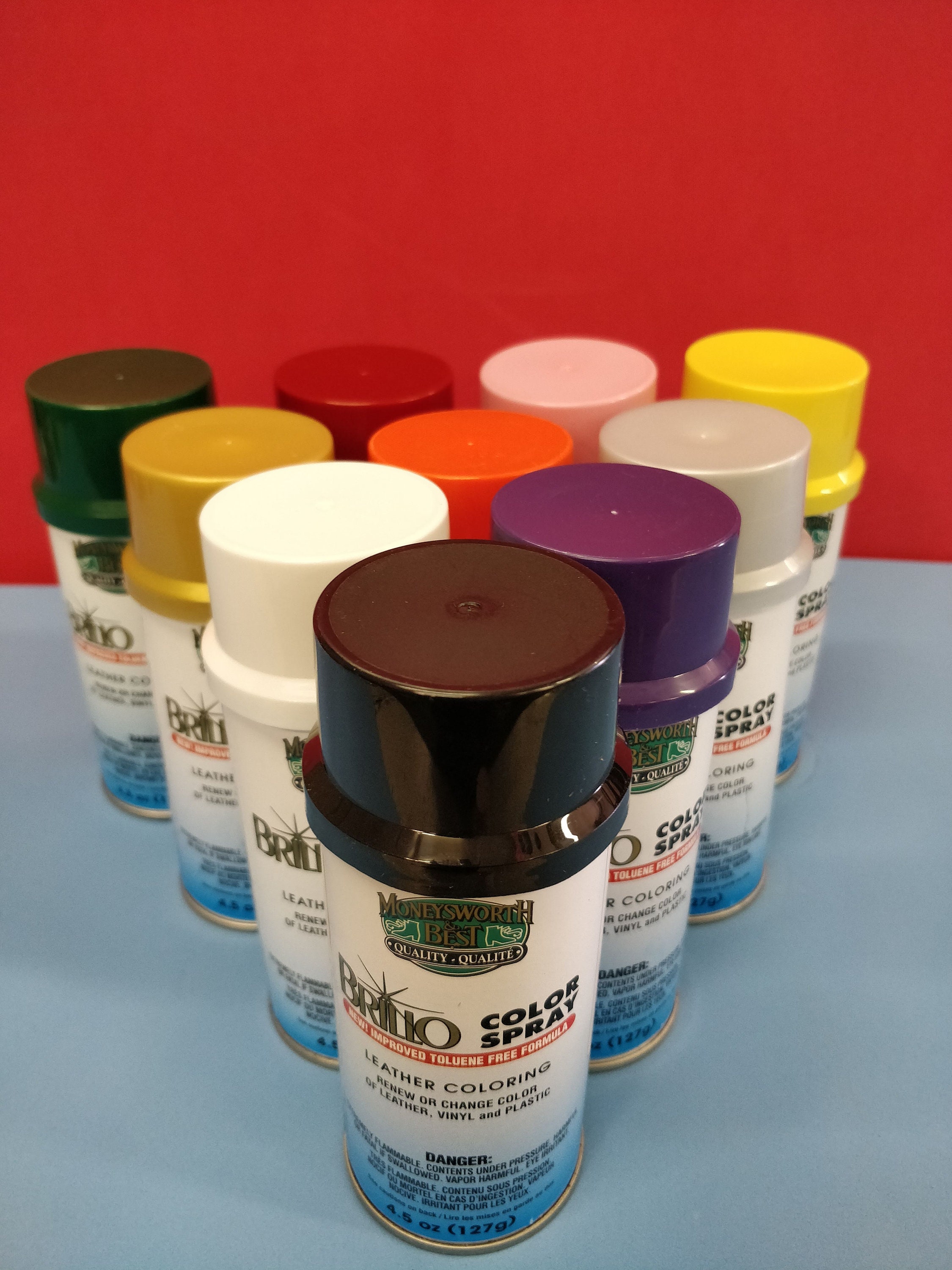 Brillo LEATHER COLOR SPRAY PAINT DYE - Colors & Protects - Leather Vinyl  Plastic