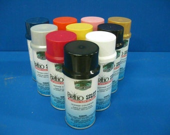 Camaro Leather, Vinyl, and Hard Plastic Interior Dye Spray Paint, 12 oz. Can