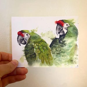 Greeting Card: Birds