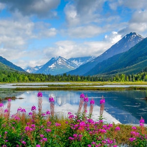 Alaskan Horizons - Patrick Wolf Photography. Alaska Landscape Photography, Alaskan Landscape Photos, Alaska Mountains and Lake Images.