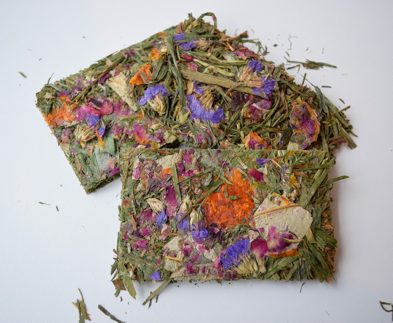 Buntanical Chips Organic Blend of Flowers, Herbs, & Timothy Grass Mimics Natural Foraging Instinct image 2