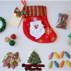 Holiday Stocking | 100% Organic/Healthy Treats and Natural Toys for Rabbits, Guinea Pigs & Other Small Pets
