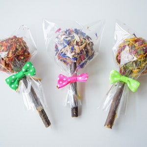 Binky Pops | Oat Free Treat | 100% Organic and Healthy Treats for Rabbits, Guinea Pigs & Other Small Pets