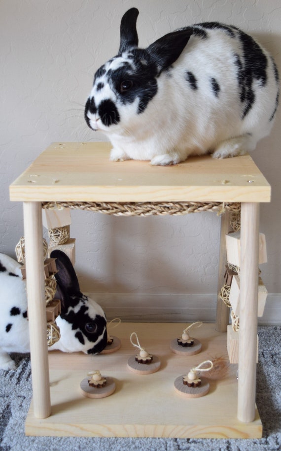bunny hidey house