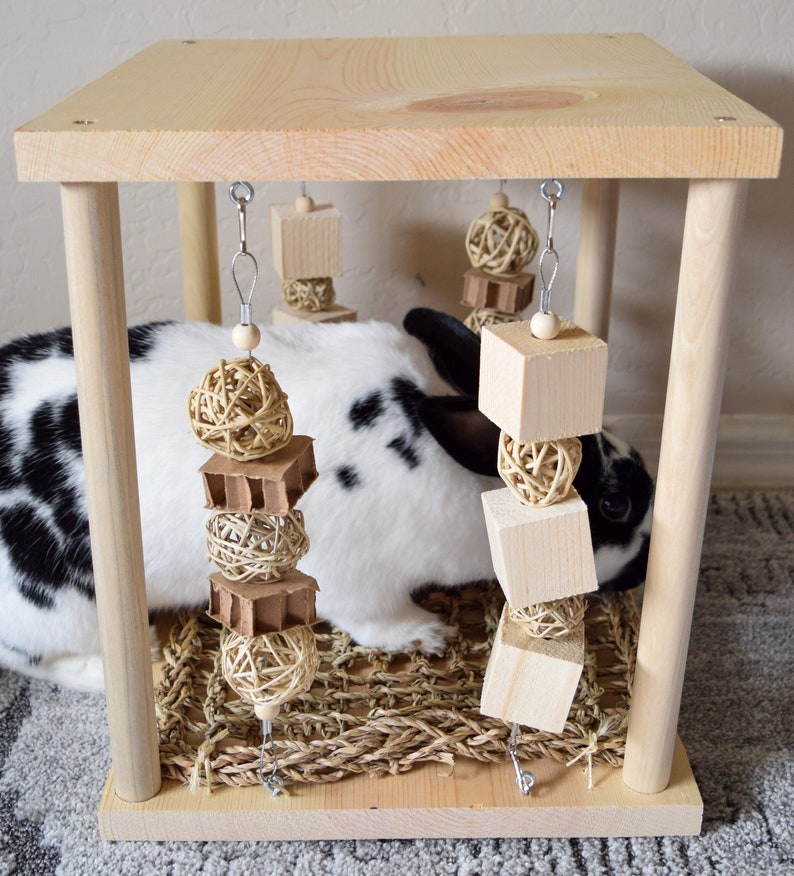 3 in 1 Binky Play Table Rabbit Logic Toy Treat Hider Etsy