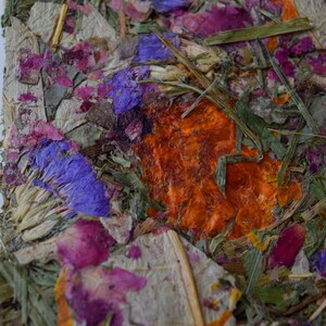 Buntanical Chips Organic Blend of Flowers, Herbs, & Timothy Grass Mimics Natural Foraging Instinct image 7