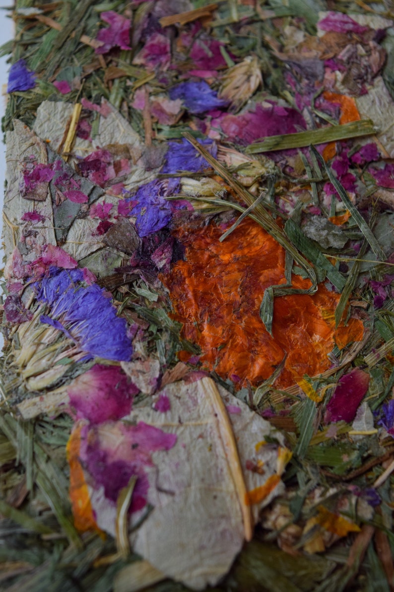 Buntanical Chips Organic Blend of Flowers, Herbs, & Timothy Grass Mimics Natural Foraging Instinct image 7