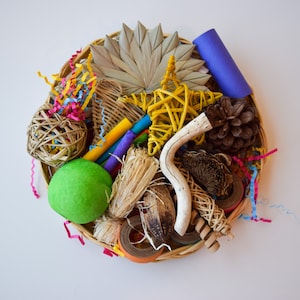 Bunny Foraging Plate