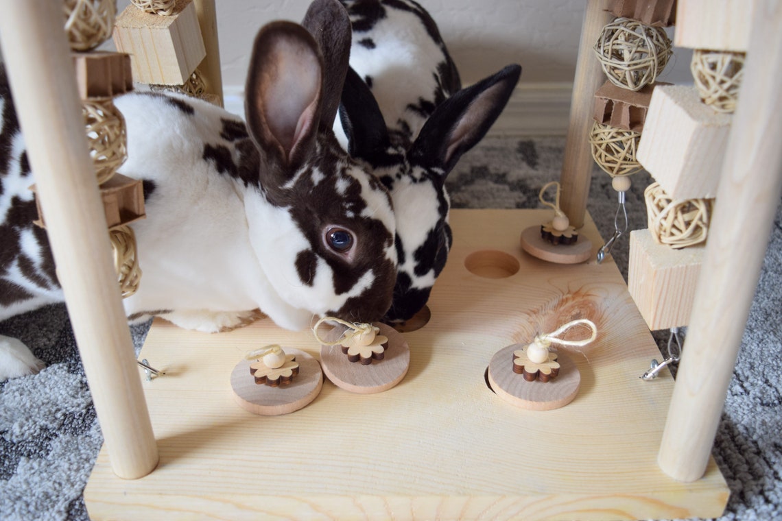 3 In 1 Binky Play Table Rabbit Logic Toy Treat Hider Etsy