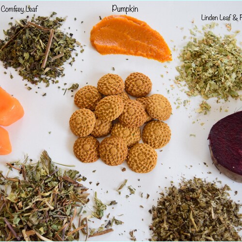 Digestive Support Treats | 100% Organic and Healthy Treats for Rabbits, Guinea Pigs & Other Small Pets